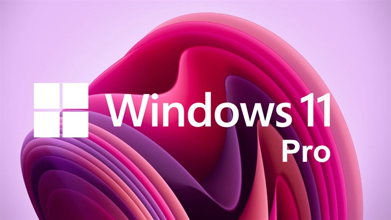 Cách chuyển windows 11 home lên windows 11 pro