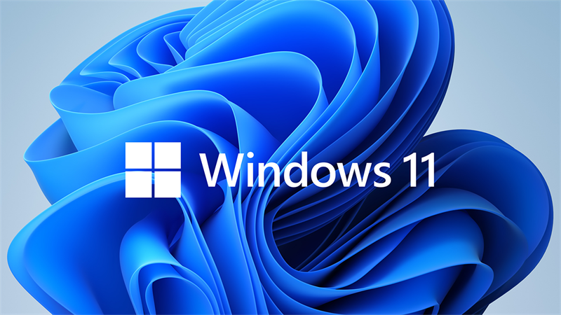 Câu hỏi về windows 11