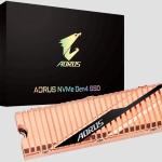 AORUS NVMe Gen 4 SSD 1TB With Heat Sink (GP-ASM2NE6100TTTD)