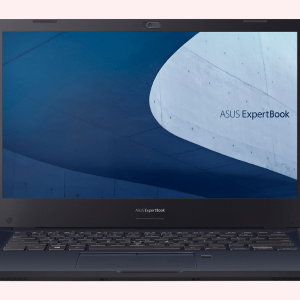 ASUS ExpertBook P2451F