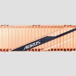 AORUS NVMe Gen 4 SSD 2TB With Heat Sink (GP-ASM2NE6200TTTD)